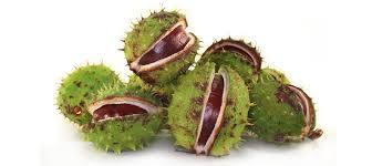 Attēlu rezultāti vaicājumam “Aesculus hippocastanum”