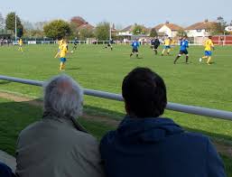 Image result for Ockley Acorns Junior F C