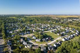 Image result for Ildblomkarse