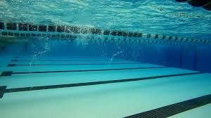 Image result for Richmond Sub-Aqua Club
