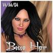 Becca Hair V4 A4 G4 Poser