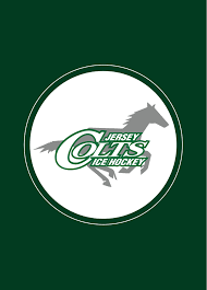 Image result for Hambro Colts Y F C