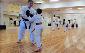 Image result for United Sport Karate