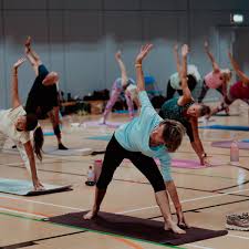 Image result for Christchurch (Dorset) Badminton Club