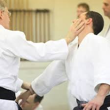 Image result for Moslin & Dewandre Aiki Dojo