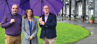 Image result for Kilkenny Bandits