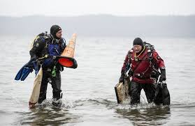 Image result for Southdown Divers