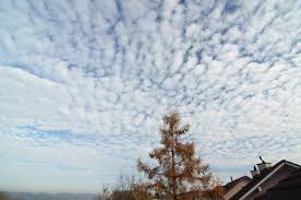 Attēlu rezultāti vaicājumam “altocumulus”