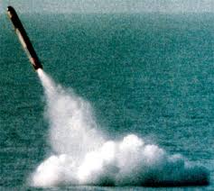 الصاروخ الفرنسي المضاد للسفن: MM-39 Exocet ! Images?q=tbn:ANd9GcQrU-N67uPVSnKwcdZrWj1sI7jg5V_DiryxaCv5SpX8oTFpZl8pwA