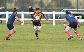 Image result for Southend Rugby Football Club Ltd