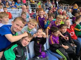 Image result for Carryduff Gaelic Athletic Club