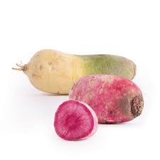 Image result for Rettich