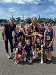 Image result for Verwood Town Netball Club