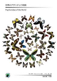 Attēlu rezultāti vaicājumam “Papilionidae”