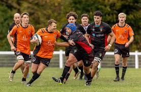 Image result for Holt R F C