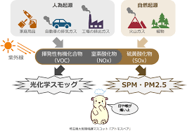 Image result for 光化学SMOG