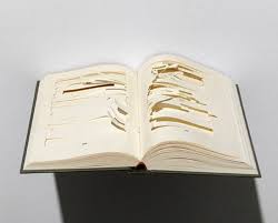 Joseph Havel A Void, 2009 cut up book 2 x 8 x 10 in (5.1 x 20.3 x 25.4 cm) - Joseph_Havel