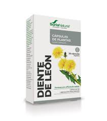 Image result for diente de leon