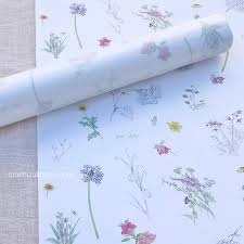 「望月麻里（マリ）」の画像検索結果