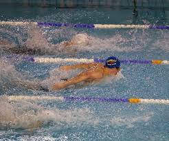 Image result for Crawley Swimming Club