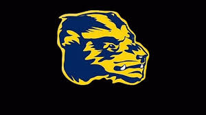 Image result for Clubswiim