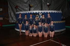 Image result for North Devon Display Gymnastics Club