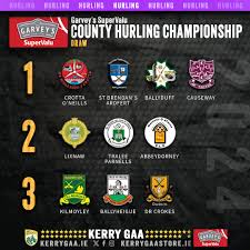 Image result for Causeway Hurling Club