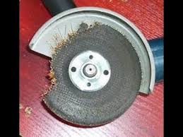 Картинки по запросу белку зажевало в диск