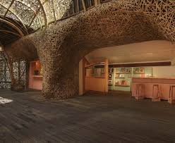 Image result for Headstream Divers