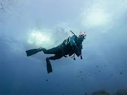 Image result for Scuba Fun