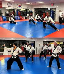 Image result for moray coast tang soo do
