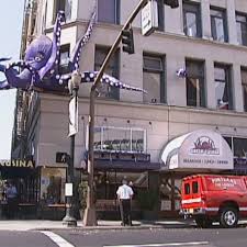 Image result for Octopushy (Croydon Area)