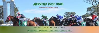 Image result for Thoroughbreds Netball Clubs