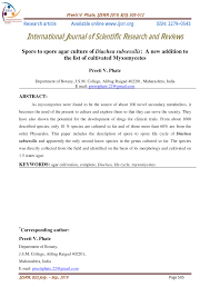 Attēlu rezultāti vaicājumam “Diachea subsessilis stalked”