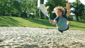 Image result for Optimum Speedminton Club