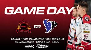 Image result for Basingstoke Buffalo