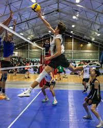 Image result for Bolton Volleyball Club
