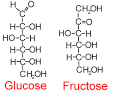 Carbohydrates