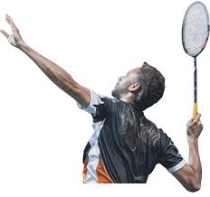 Image result for Ferndown Sports Badminton Club