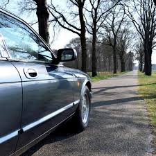 Image result for Titanium Pearl 1995 Jaguar