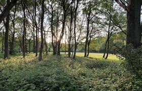 Image result for Chesham & Ley Hill Golf Club