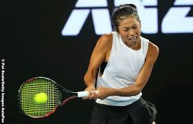 「シェイ・シェイ」の画像検索結果