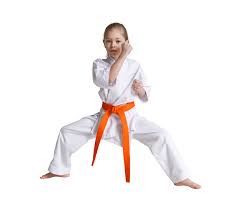 Image result for COURT FIELDS karate Academy