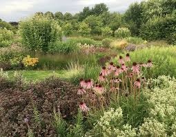 Image result for Piet Oudolf