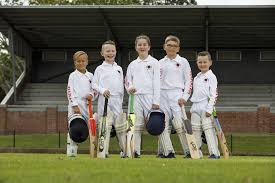 Image result for Mayfield Cricket Club