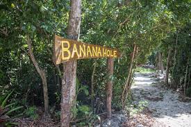 Image result for Clifton Bsac