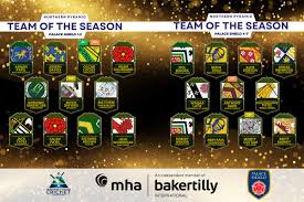 Image result for South Shore Cricket Club