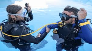 Image result for Deep and Wide Diving