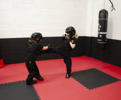 Image result for Llantrisant Tkd