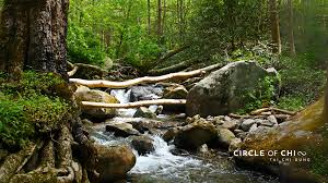 Image result for All Welcome Wakefield Tai Chi